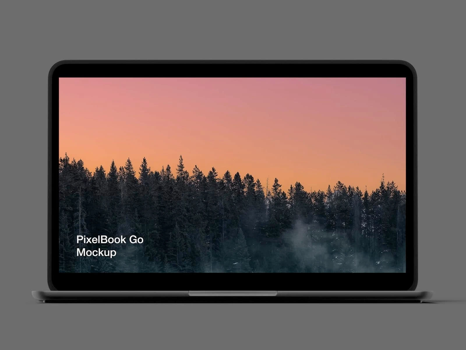 Free Pixel 4 and Pixelbook Go Mockup